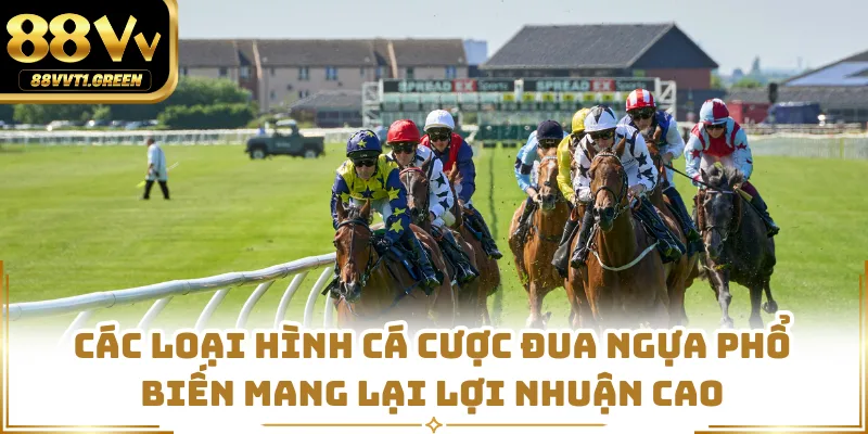 Các loại hình cá cược đua ngựa phổ biến mang lại lợi nhuận cao