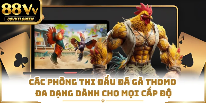 Các phòng thi đấu đá gà Thomo đa dạng dành cho mọi cấp độ